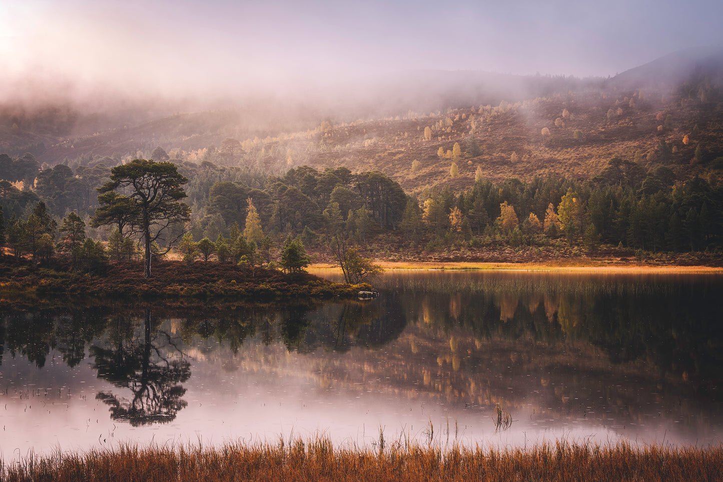 Autumn in the Ancient Forests of Scotland | Glen Affric and Surrounding Area Photography Workshop - 11-14 Oct 2026