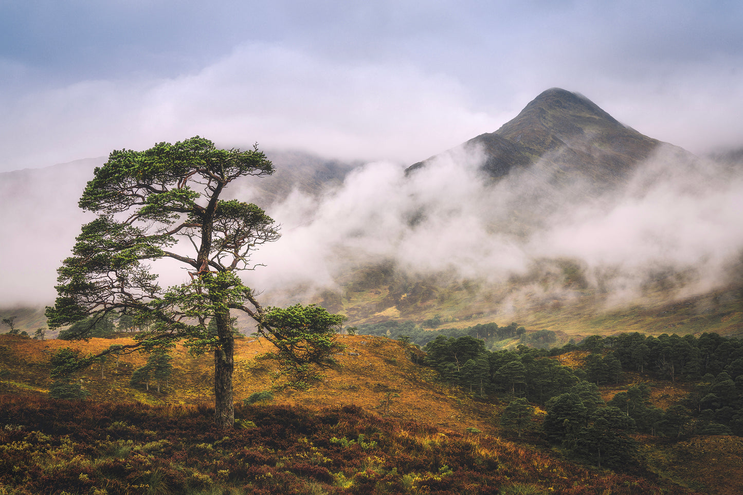 Autumn in the Ancient Forests of Scotland | Glen Affric and Surrounding Area Photography Workshop - 11-14 Oct 2026