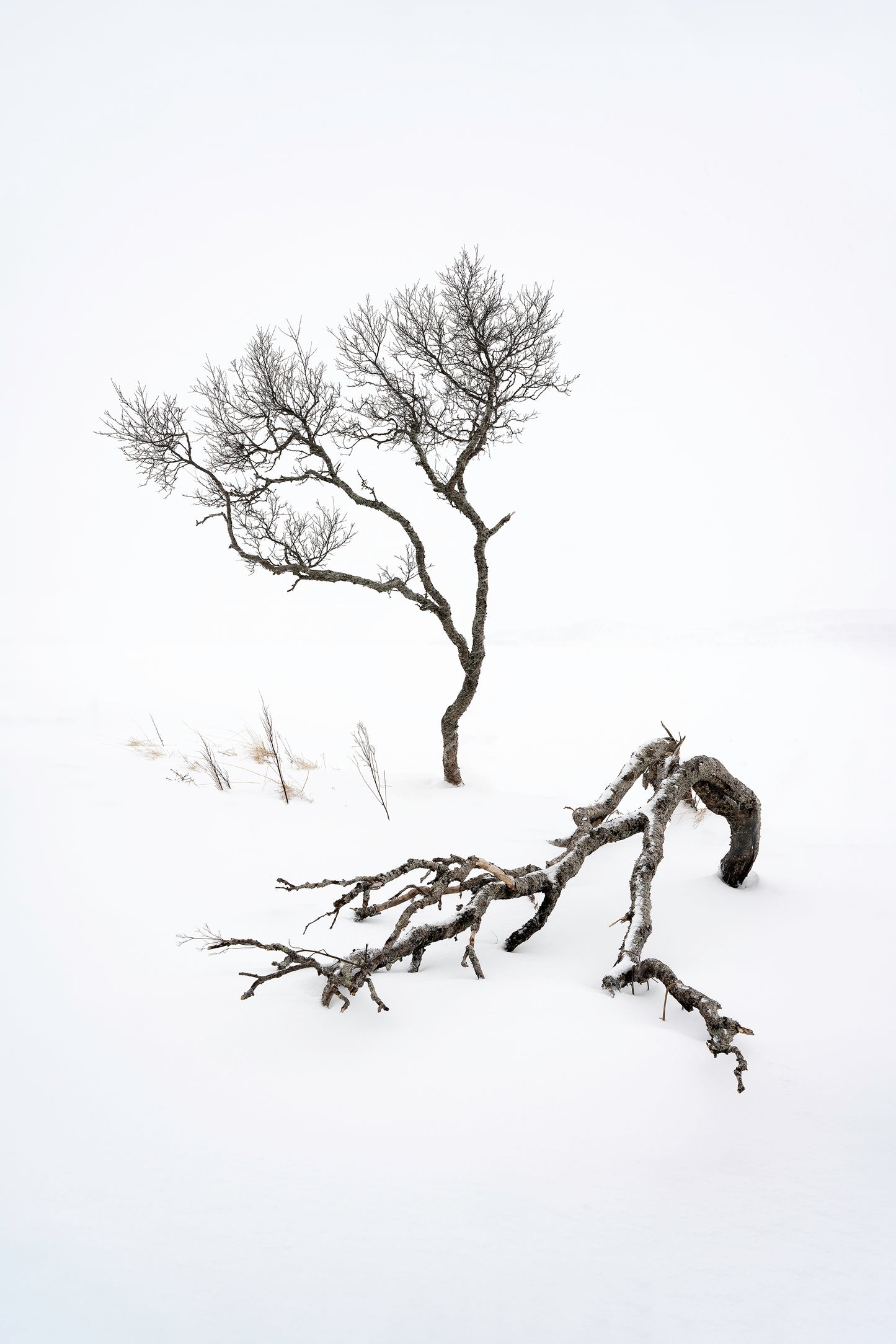 Lofoten Photography Workshop - 1st to 7th March 2025 - 6 nights B&B/5 days tuition