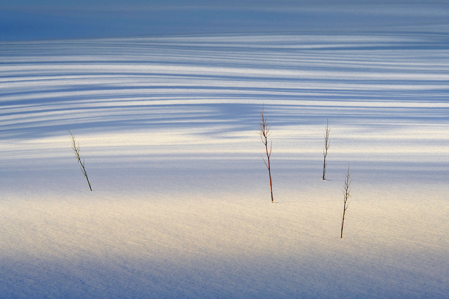 Lofoten Photography Workshop - 8th to 14th March 2025 - 6 nights B&B/5 days tuition