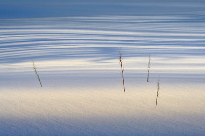 Lofoten Photography Workshop - 8th to 14th March 2025 - 6 nights B&B/5 days tuition