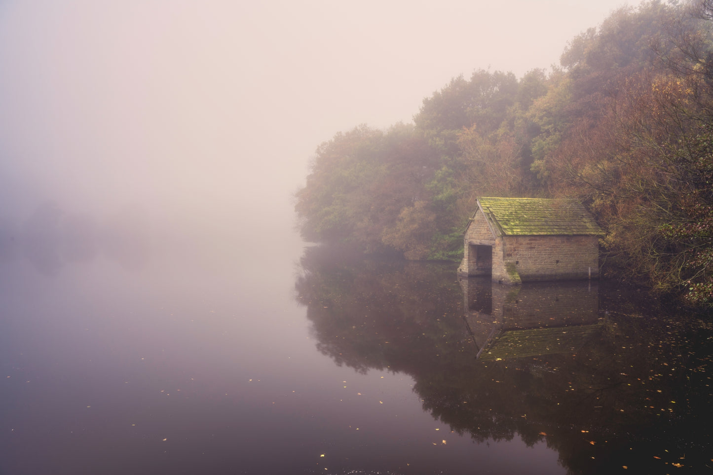 1-Day Photography Workshop: Autumn in the Peak District - Sun 29th October, 2023