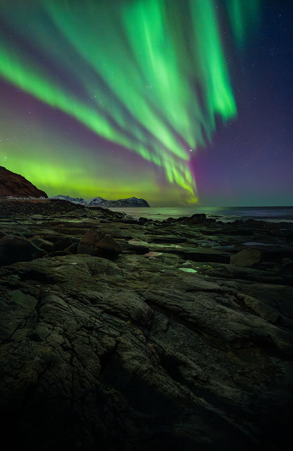 Aurora borealis over a rocky coastline with water in the background Lofoten Norway Solar Maximum 2026