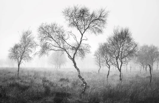 1-Day Photography Workshop: Autumn in the Peak District - Sat 28th October, 2023