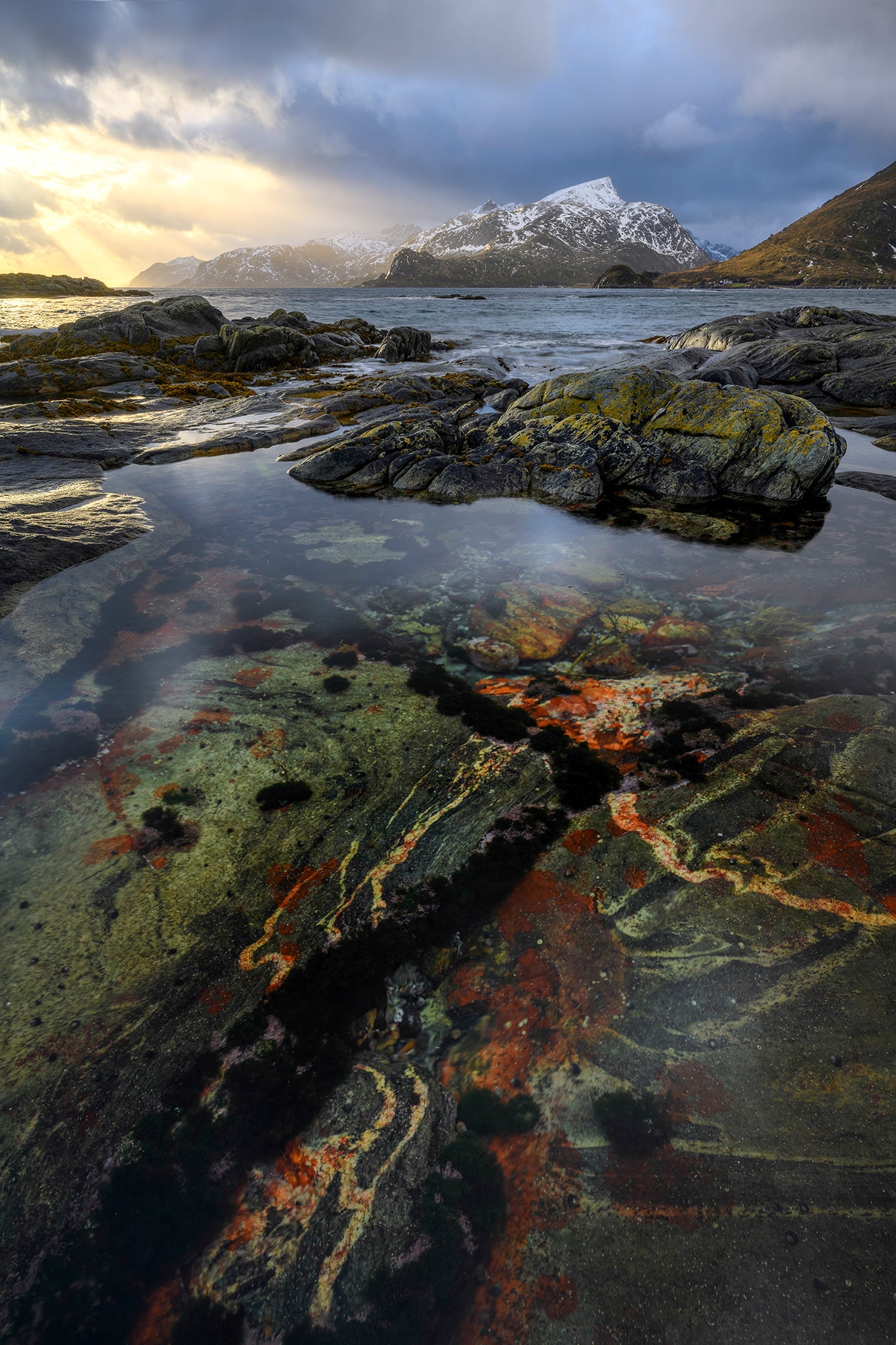 Rocks with colorful lichen on a coastal landscape with mountains in the background.