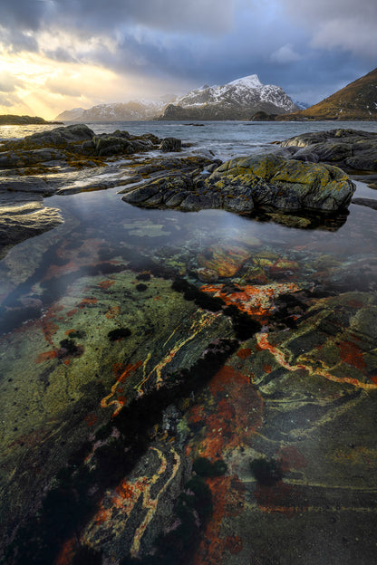 Rocks with colorful lichen on a coastal landscape with mountains in the background.