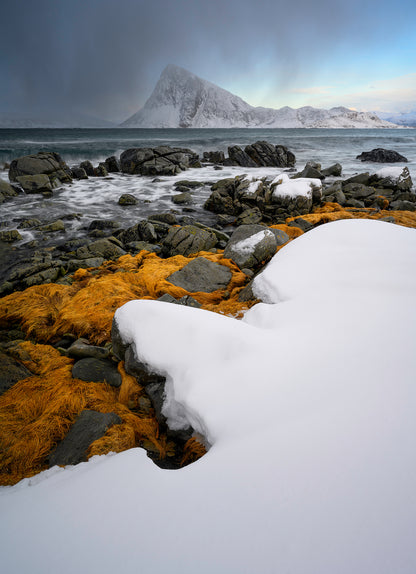 Snow-covered rocks with orange lichen on a coastal landscape with a mountain in the background.