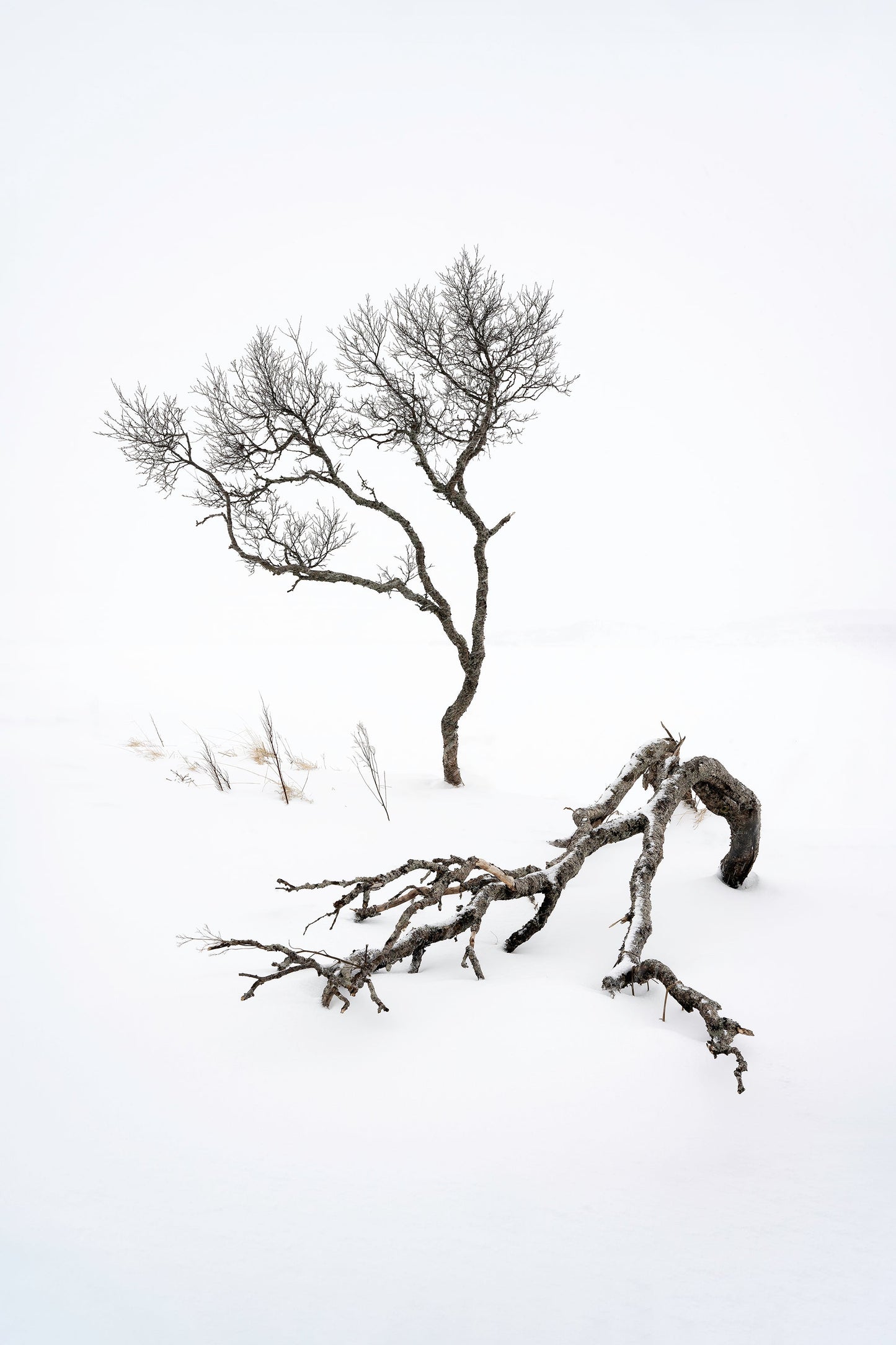 Lofoten Photography Workshop - 8th to 14th March 2025 - 6 nights B&B/5 days tuition