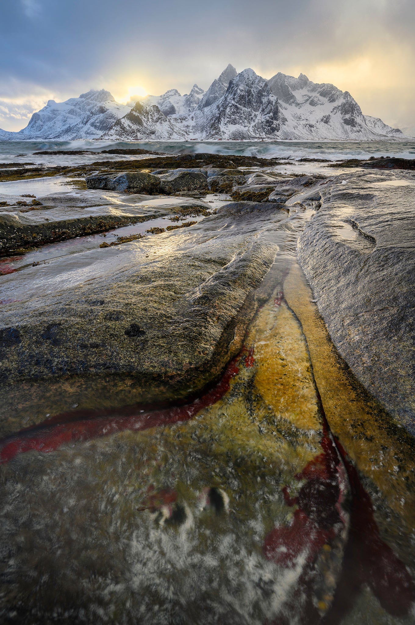 Rocks with colorful patterns on a coastal landscape with snow-capped mountains in the background.