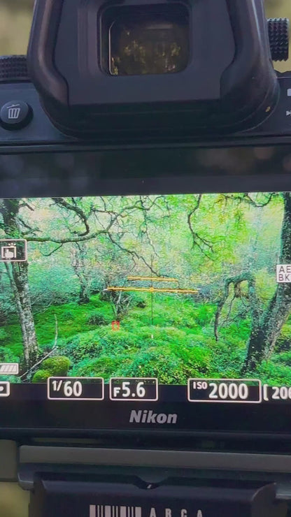 Autumn in the Ancient Forests of Scotland | Glen Affric and Surrounding Area Photography Workshop - 11-14 Oct 2026