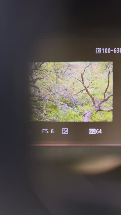 Autumn in the Ancient Forests of Scotland | Glen Affric and Surrounding Area Photography Workshop - 11-14 Oct 2026