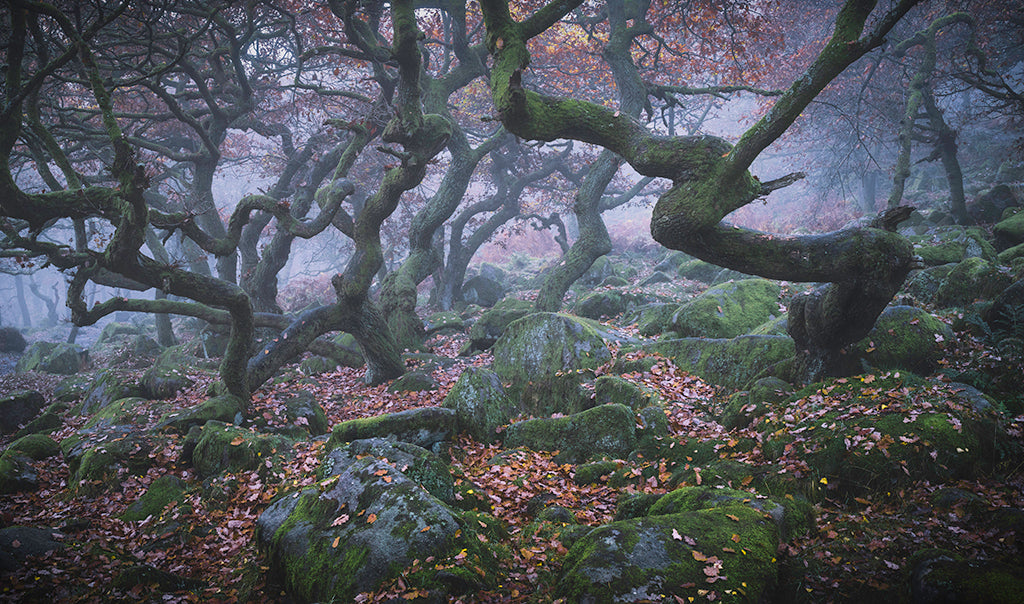 1-Day Photography Workshop: Autumn in the Peak District - Sat 29th October
